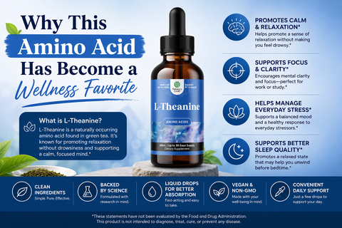 L-Theanine Explained: Why This Amino Acid Has Become a Wellness Favorite
