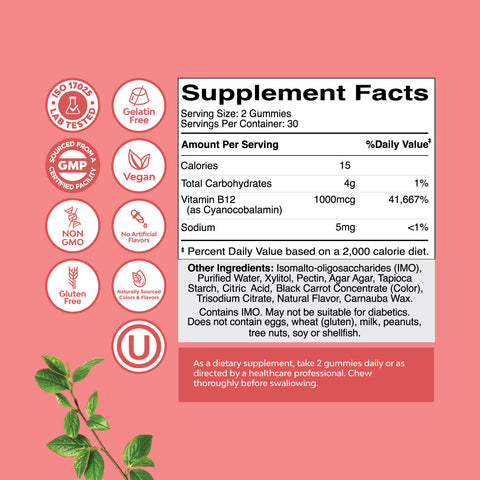 B12 Vitamin Gummies | B12 Gummies Supplements | Nature's Craft
