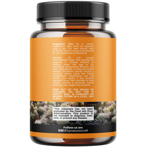 Irish Sea Moss