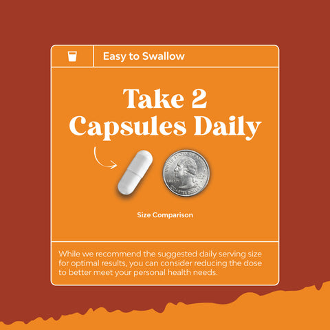 White Kidney Bean Extract