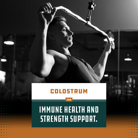 Colostrum