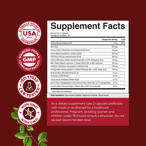 Uric Acid Support