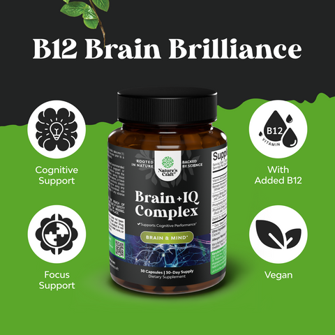 Brain + IQ Complex